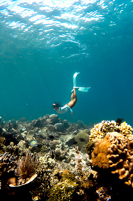 Gangga Island snorkel